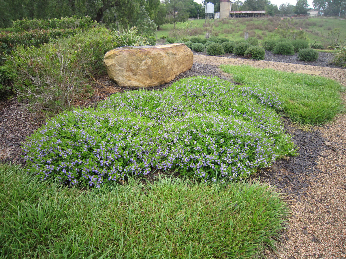 How Do I Make My Garden Look Good Without Using So Much Mulch?