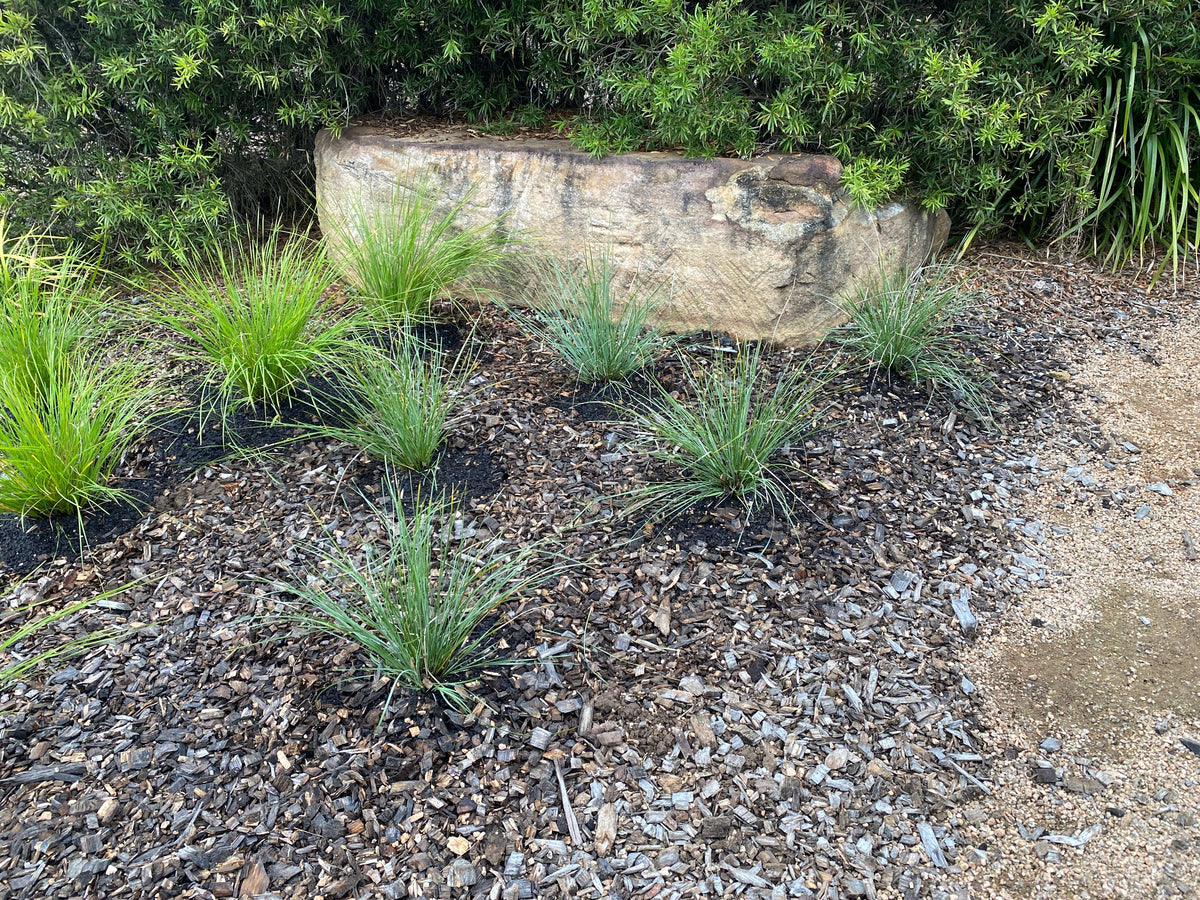 How Can I Make My Garden Grow Faster? What Actually Works (and What Doesn't)