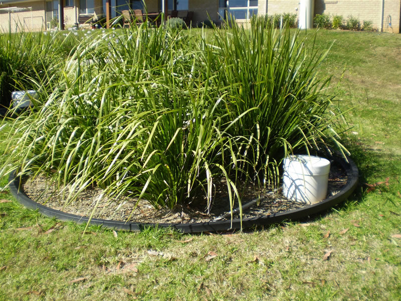 How to Create a Reed Bed: Plants for Wet Areas, Dams, Drainage and Natural Filtration