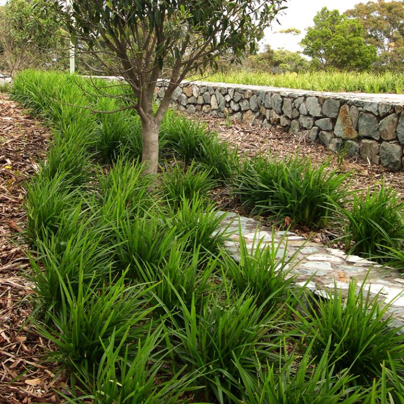 Why Full Sun Doesn't Always Mean Full Sun (And It's Costing Gardeners Thousands)