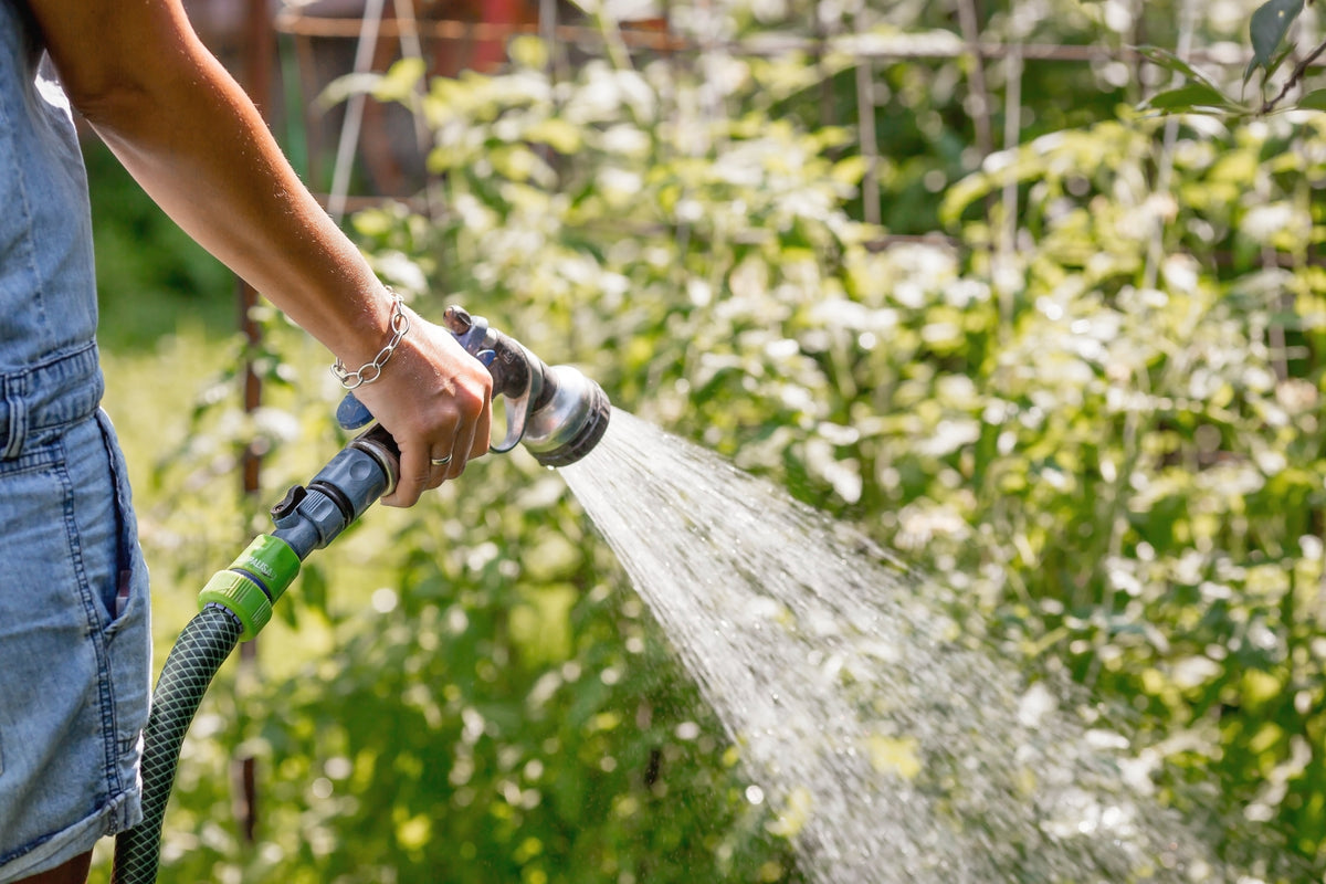 How Often Should I Water My Plants? The Australian Gardener’s Guide to Getting Watering Right