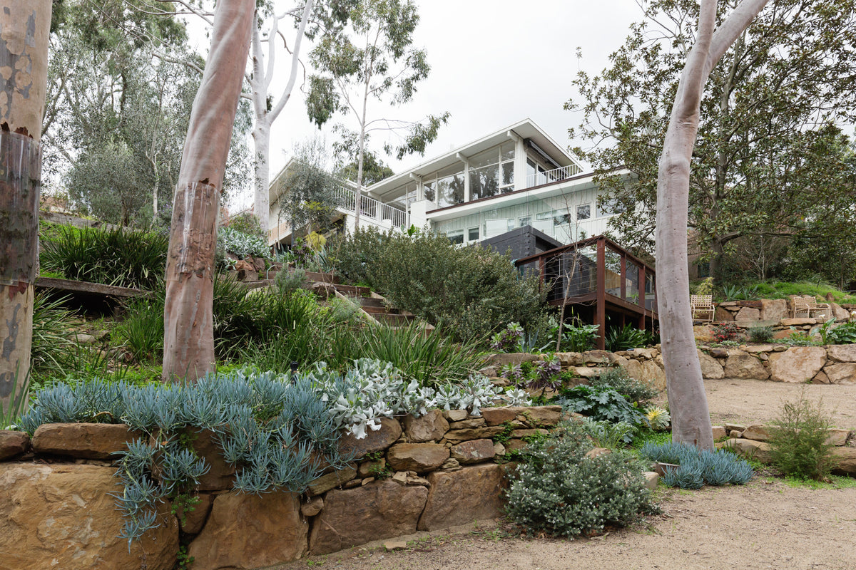 What Should I Plant Around a Patio? Best Plants for Outdoor Entertaining Areas
