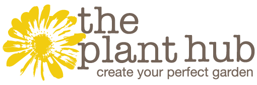 The Plant Hub