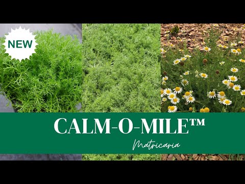 CALM-O-MILE